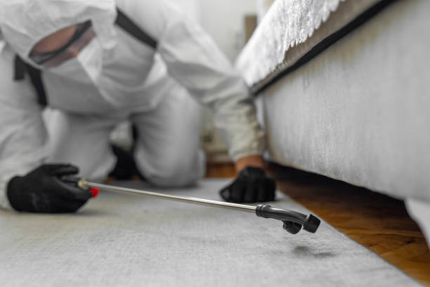Professional Bed Bug Control technician working in Albany, KY